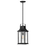 Grant 1 -Bulb 19.75" H Outdoor Hanging Lantern