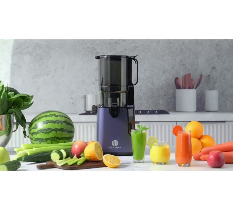 Ventray Purple Electric Masticating Juicer with Large Feed Chute