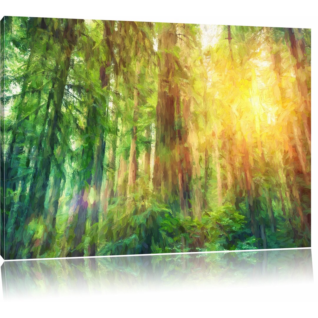 Leinwandbild "Wald bei Sonnenlicht", Grafikdruck