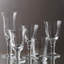 Puccinelli Whiskey Glass