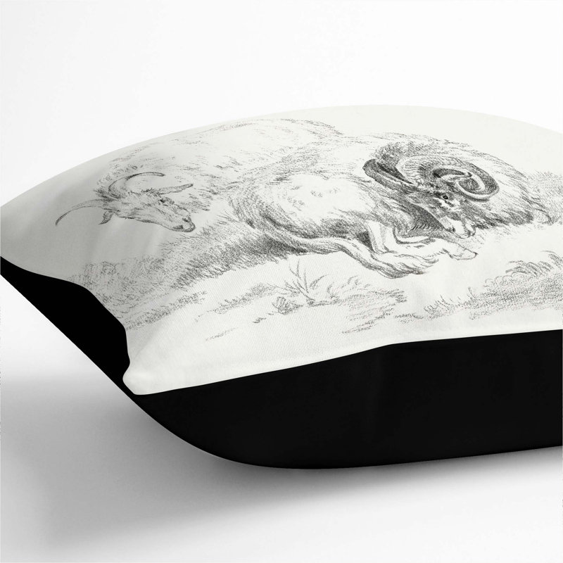 Square Throw Cushion, 55cm H x 55cm W x 20cm D, Black
