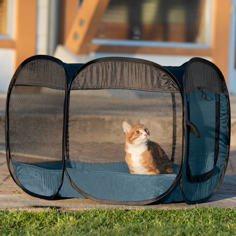 Panel Mesh Pet Playpen With Door, Sailor Blue, 23.75" H x 37" W x 31" D
