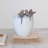 Decorative Stoneware Planter with Birds on Rim and Reactive Glaze