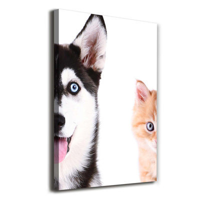 Dog And Cat - Wrapped Canvas Print