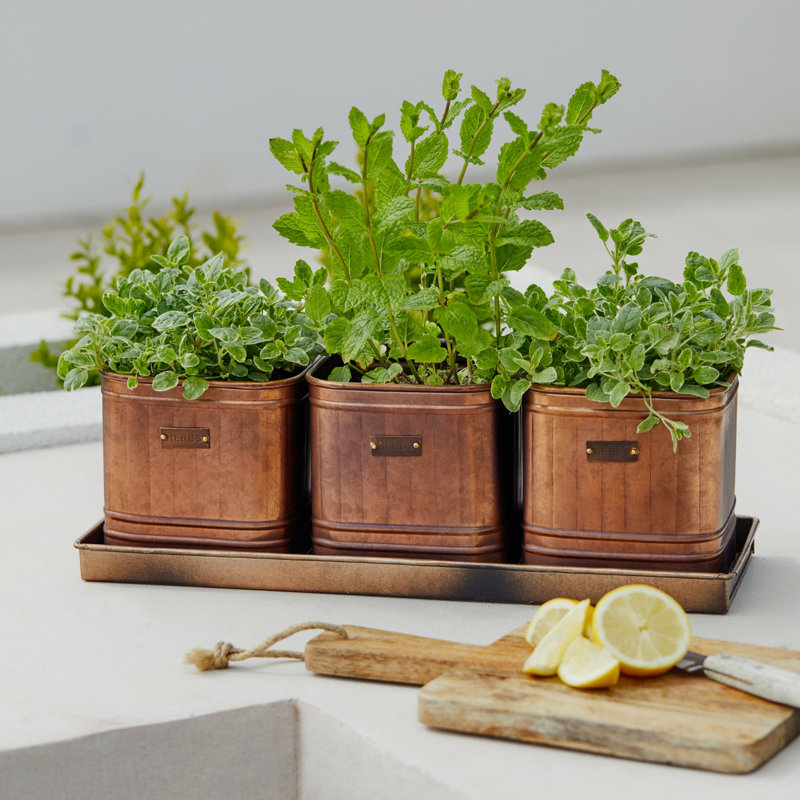 Metal Pot Planter