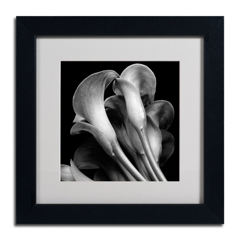 « lillies », reproduction de photo encadrée, H 11 po x l 14 po x P 0,5 po