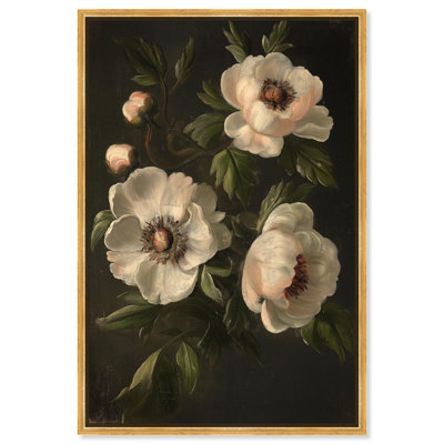 «White Pivoines in Dark I», toile rétro par Botanicals 