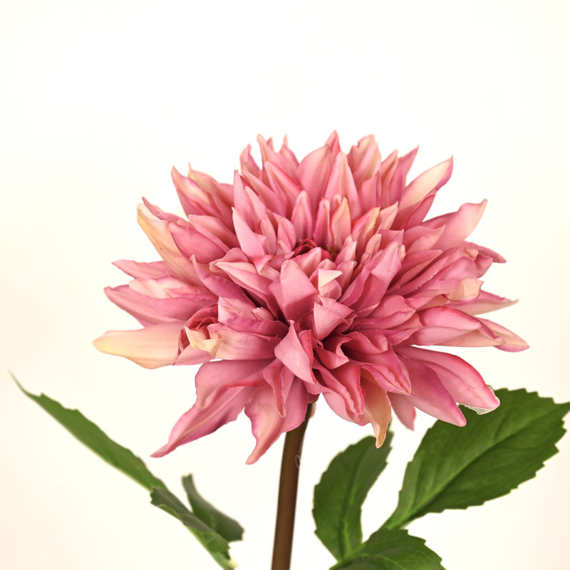 Arrangement floral 28 po Dahlia, Mauve