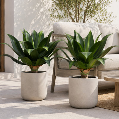 24in Artificial Agave Ground‑Stake Plant, Pot Not Included (Blue Stripe Edition), Wide-Leaf/Narrow-Leaf/Spiky-Edged Realistic Succulent Plant, UV-Resistant Weatherproof Agave, Suitable for Outdoor Garden Courtyard Terrace Landscape Decoration (Set of 2)