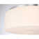 Edgemont 4-Light Ceiling Light