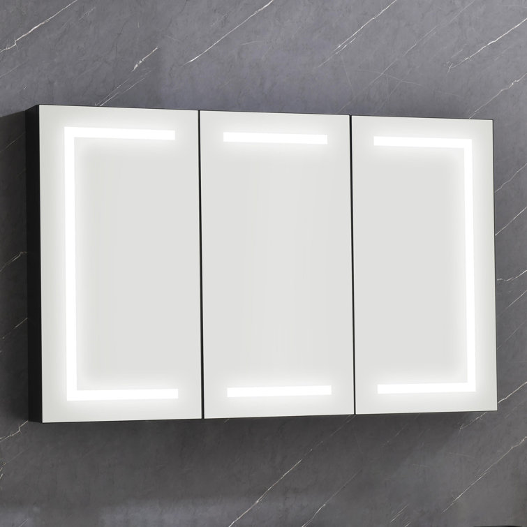 Camrynn 48'' W Mirrored Medicine Cabinet with LED Lights