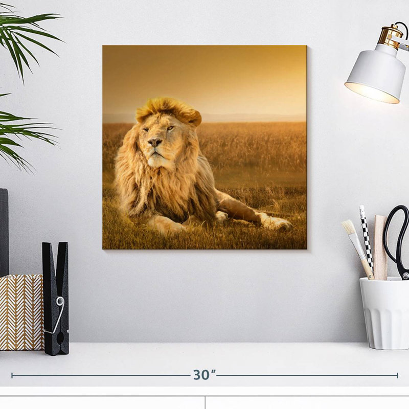 Crowle Glorious Lion en safari, H 16 po x l 16 po