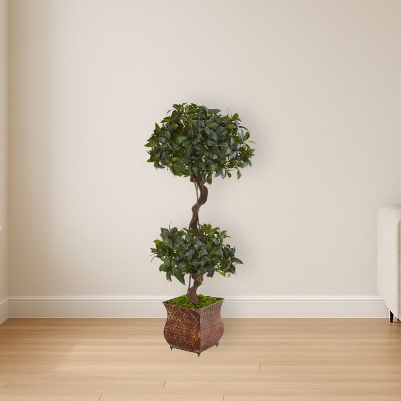 Sweet Bay Double Topiary Tree in Metal Planter