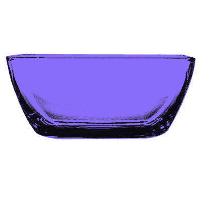 Polycarbonate Bowl - 12 Pieces