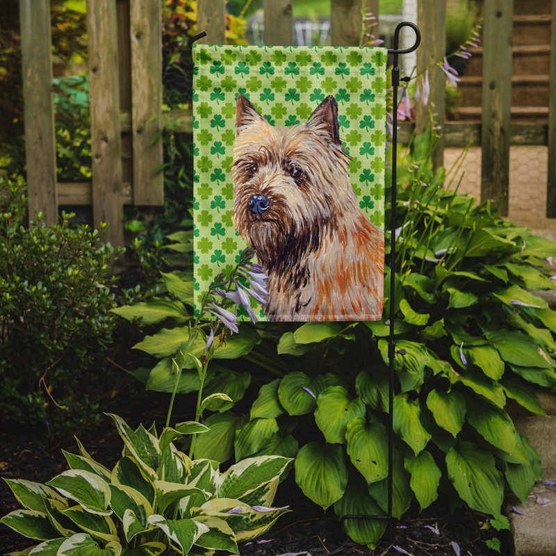 Drapeau de jardin à 2 côtés st. patrick day trèfle, Cairn terrier (beige et brun)