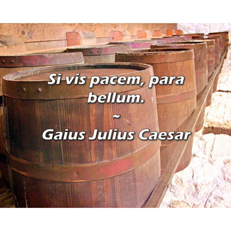 Gaius Julius Caesar Quote: Si vis pacem, para bellum., 15" H x 18" W