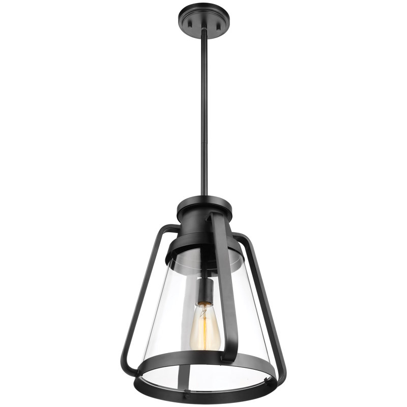 Iola 1 - Light Single Pendant, Matte Black, 16.38" H x 14" W x 14" D