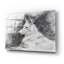 «White Shepherd In Gray» par Robert Campbell-72781288