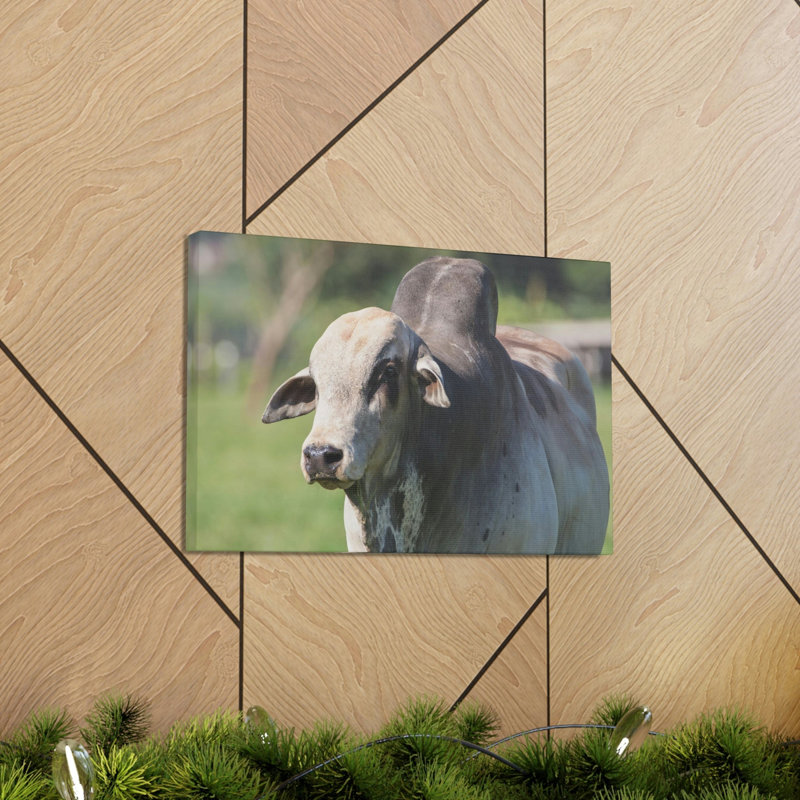 No Frame Print on Canvas, 30.48cm H x 45.72cm W