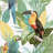 Trudie Toucan Macaw Wallpaper
