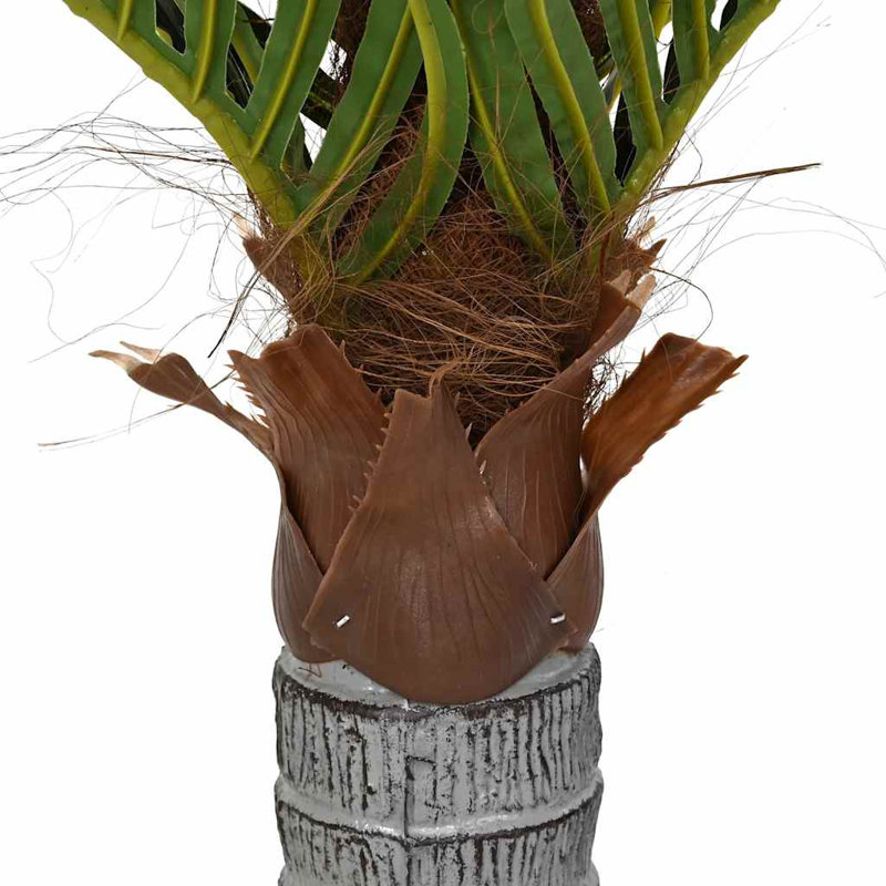 150cm Plant