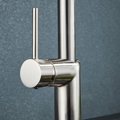 Belfry Kitchen Moindou Pull Out Kitchen Faucet