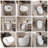 Egg Shape Smart Toilet, Single Flush, 1.28 GPF