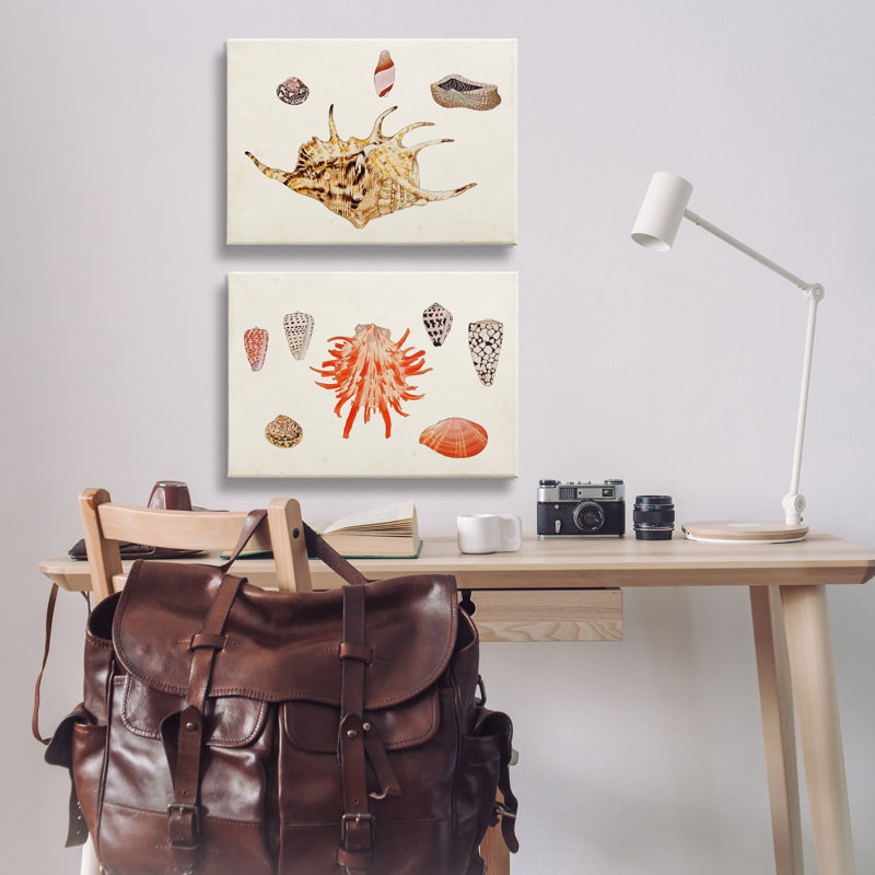 «Antique Shell Anthology», ensemble de 2 toiles murales par Vision Studio, H 16 po x l 24 po