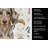 Dapple Dachshund Coffee Bar Kitchen Towel-1168063130