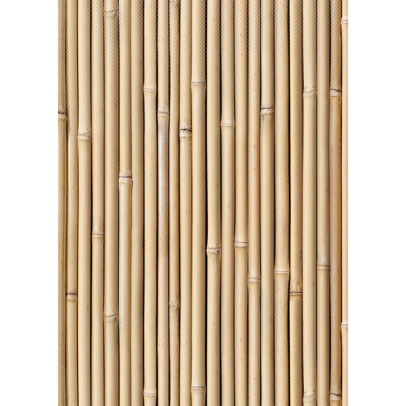 Rouleau de babillard 4 pi x 12 pi Bamboo Better Than