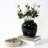 Kempinski Ceramic Pot Planter-363942491