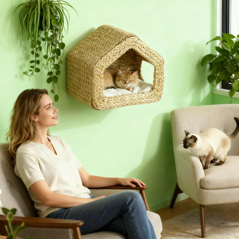 Maison de chat murale