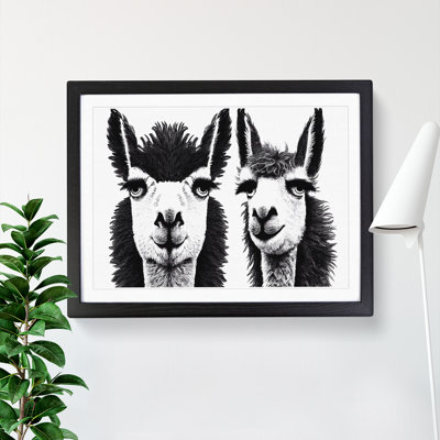 Flawless Llamas - Single Picture Frame Print