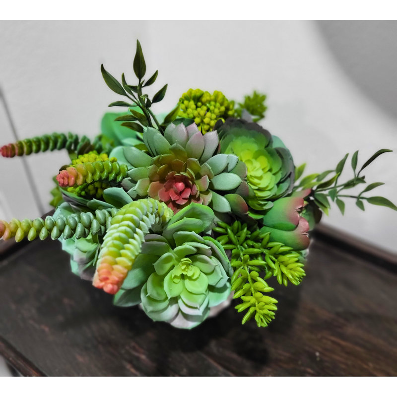 Arrangement de plantes grasses en pot