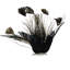 Peacock Ocelli Feather Clip-On Christmas Ornament -6"