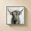 Vache Highland-276928945-276928947