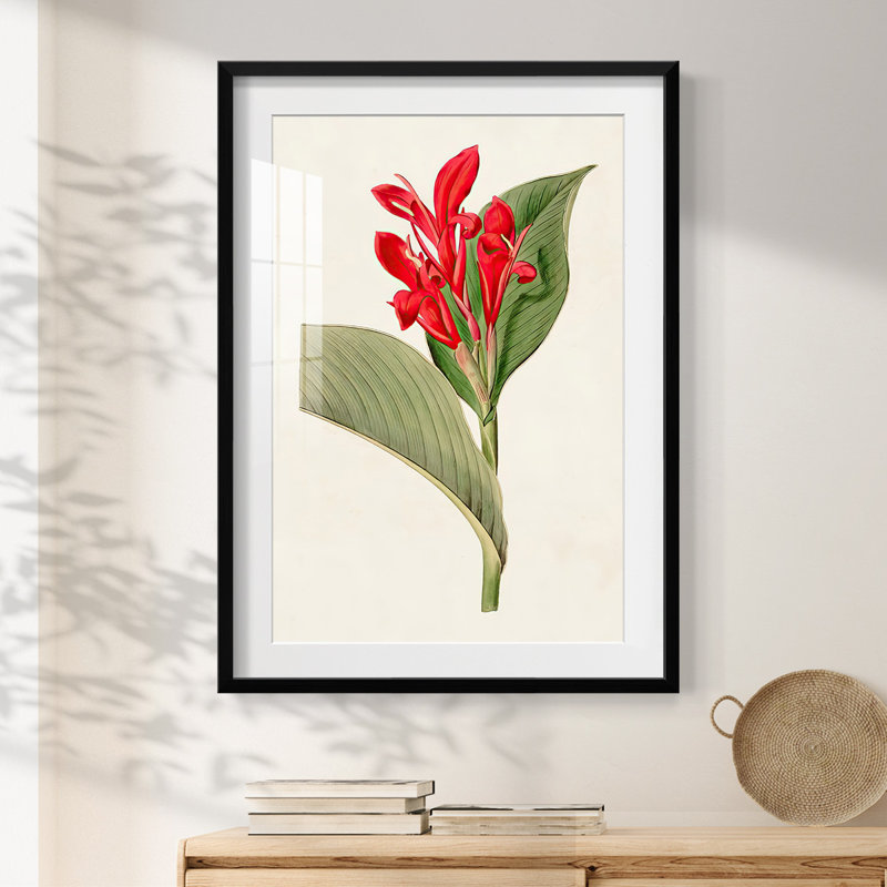 Chordata II -Gallery Wrapped Canvas