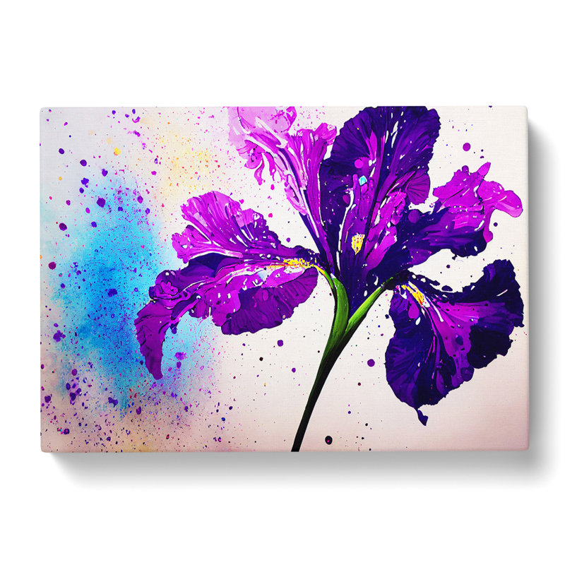 Iris Flower Splash Vol.5 Abstract - Wrapped Canvas, 35cm H x 50cm W x 3cm D