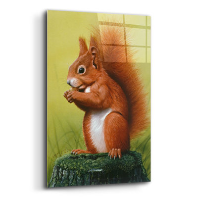 " Red Squirrel " by Harro Maass