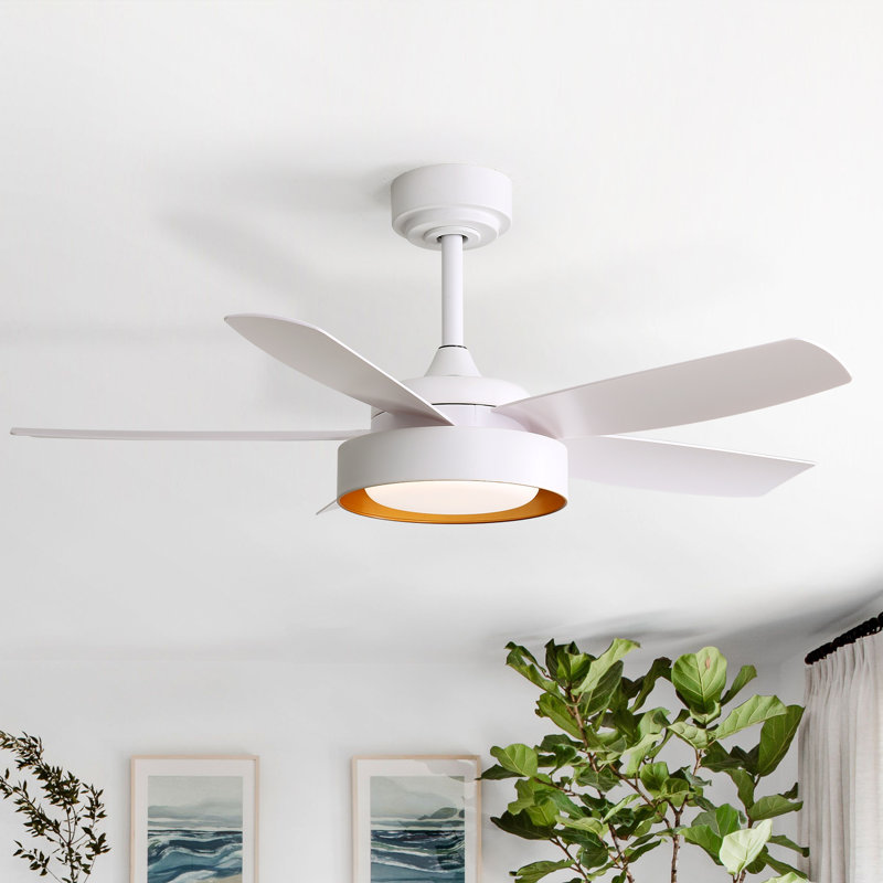 Ventilateur de plafond blanc mat moderne à 5 pales de 42 pouces avec lumière Julice