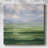 " Sunkissed Meadow I "