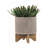 Stylish Tan Mesh Planter with Stand, Perfect for Indoor and Outdoor Decor, Enhances Any Space with Elegance and Functionality.-1250476698