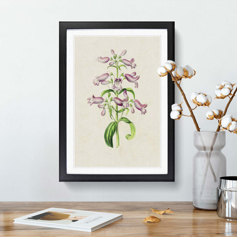 Purple Beardtongue Flower Illustration - Framed Print, 48cm H x 36cm W x 2cm D, Black Framed