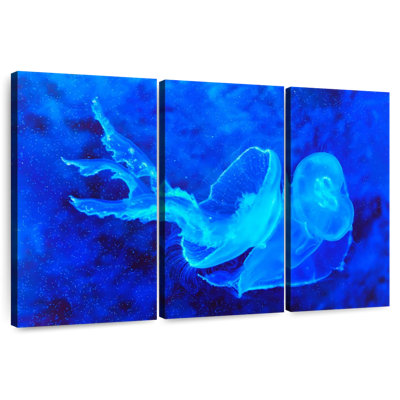 Bell Shaped Jellyfish