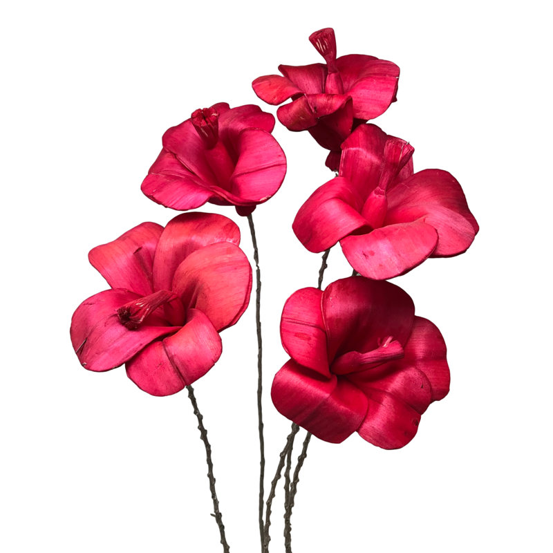 Tige d'hibiscus Esquina, Rose magenta