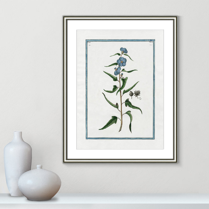 Colombe Shabby Elegance Botanical I - Art encadré avec fond perdu, L 18,25 po x H 24,25 po, Cadre argenté