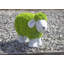 Coopersville Plastic Garden Statue