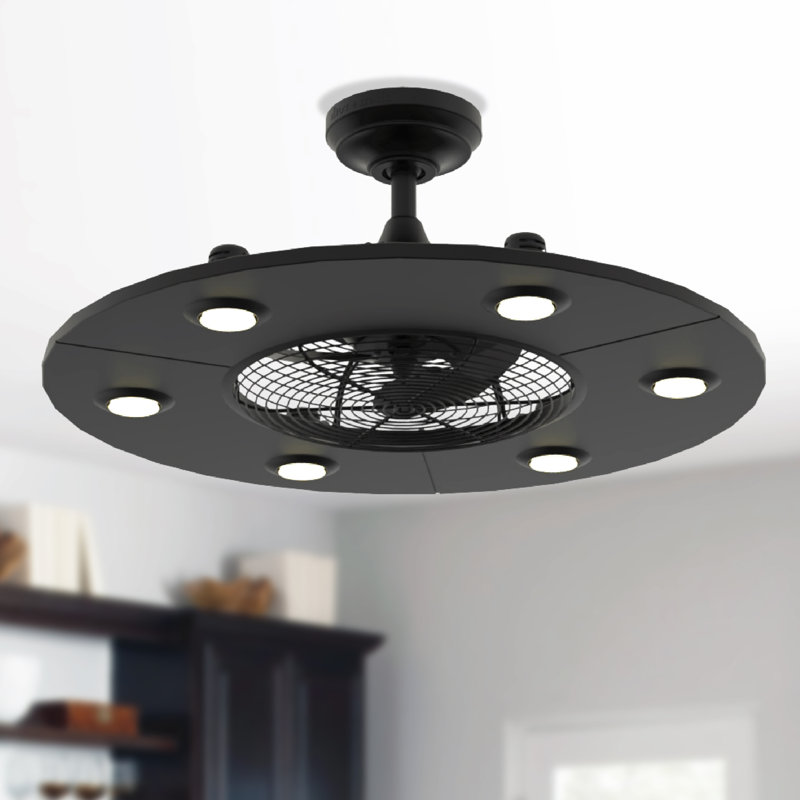 Clairene 12'' Ceiling Fan with LED Lights, Black