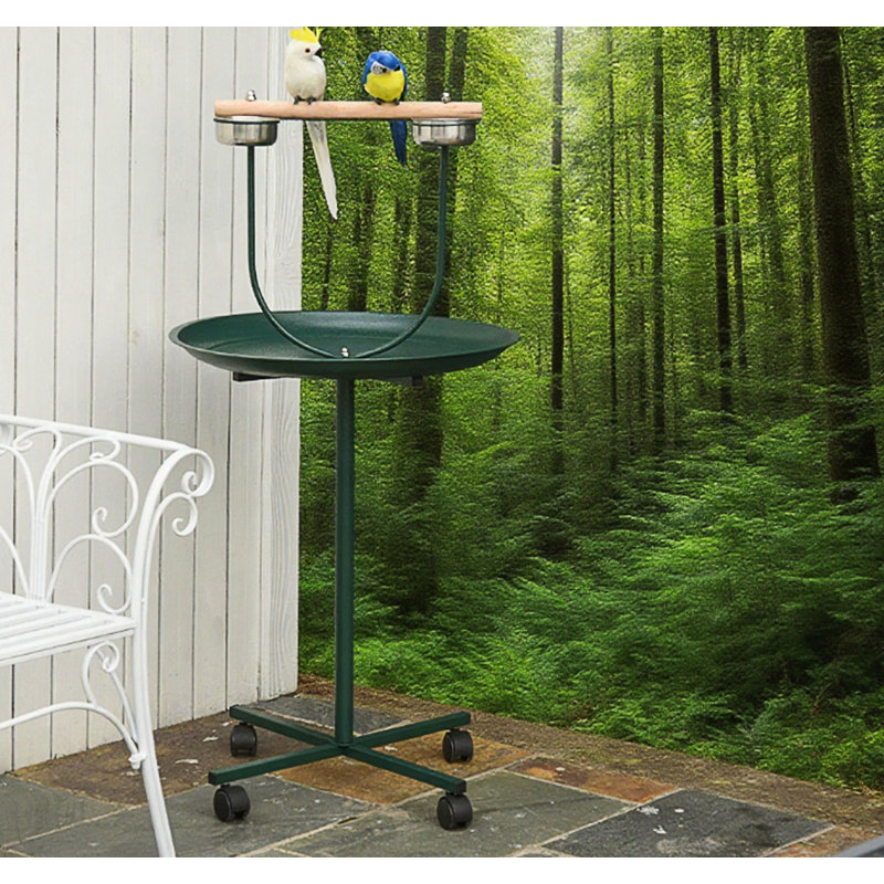 Bird Training Activity Playground With