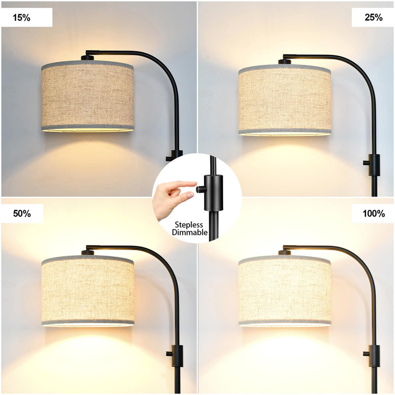 Reinmar 65'' LED Arched Floor Lamp, Black